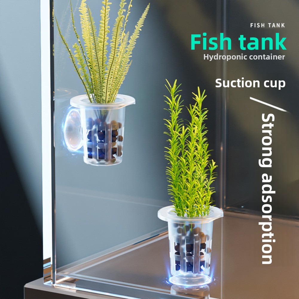 Aquarium Plants Live - 10Pcs 투명 식물 수경 재배 냄비