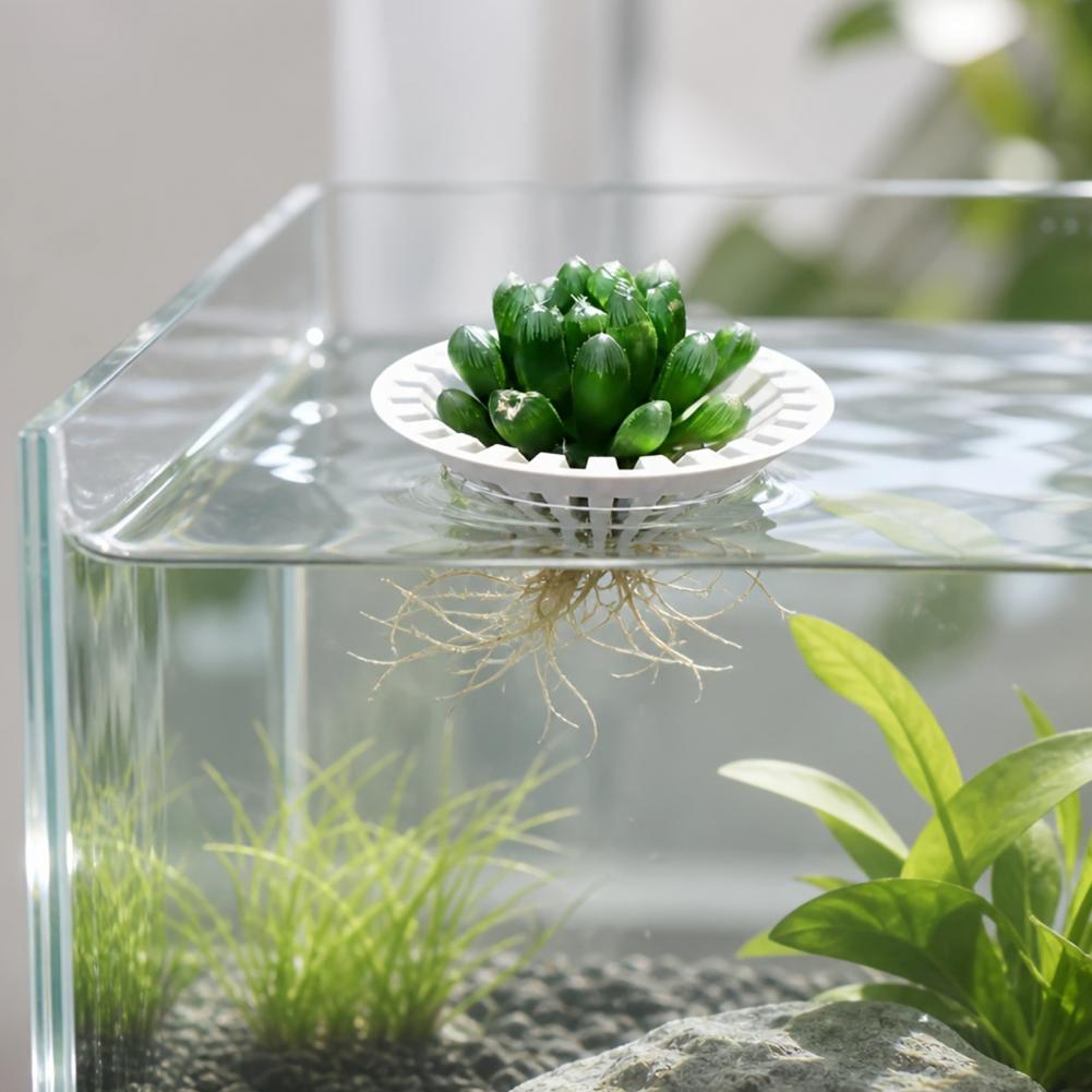Aquarium Plant Holder - 수족관용 수경 재배 화분, 3D 프린팅으로