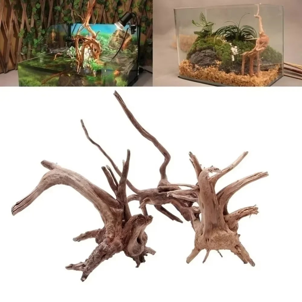 Aquarium Plant Substrate - 15-20CM 천연 유목 수족관 장식 -