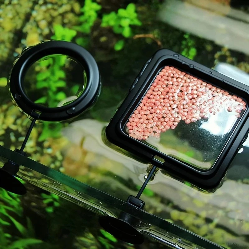 Aquarium Fertilizer - 1/3개 수족관 물고기 먹이 링 어항
