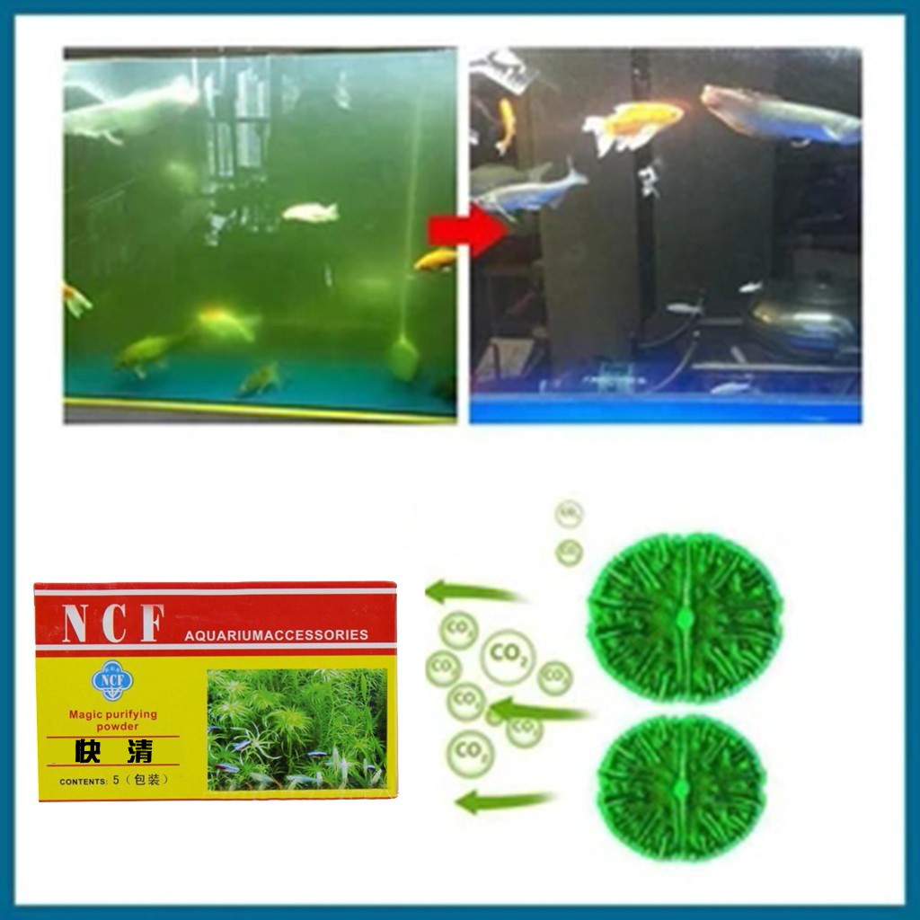 Aquarium Moss - 수족관 정수 분말 냄새 제거 조류
