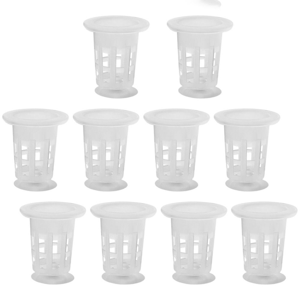 10Pcs 투명 식물 수경 재배 냄비 플라스틱 흡입 베 - Aquarium Plants Live 리뷰 및 가격