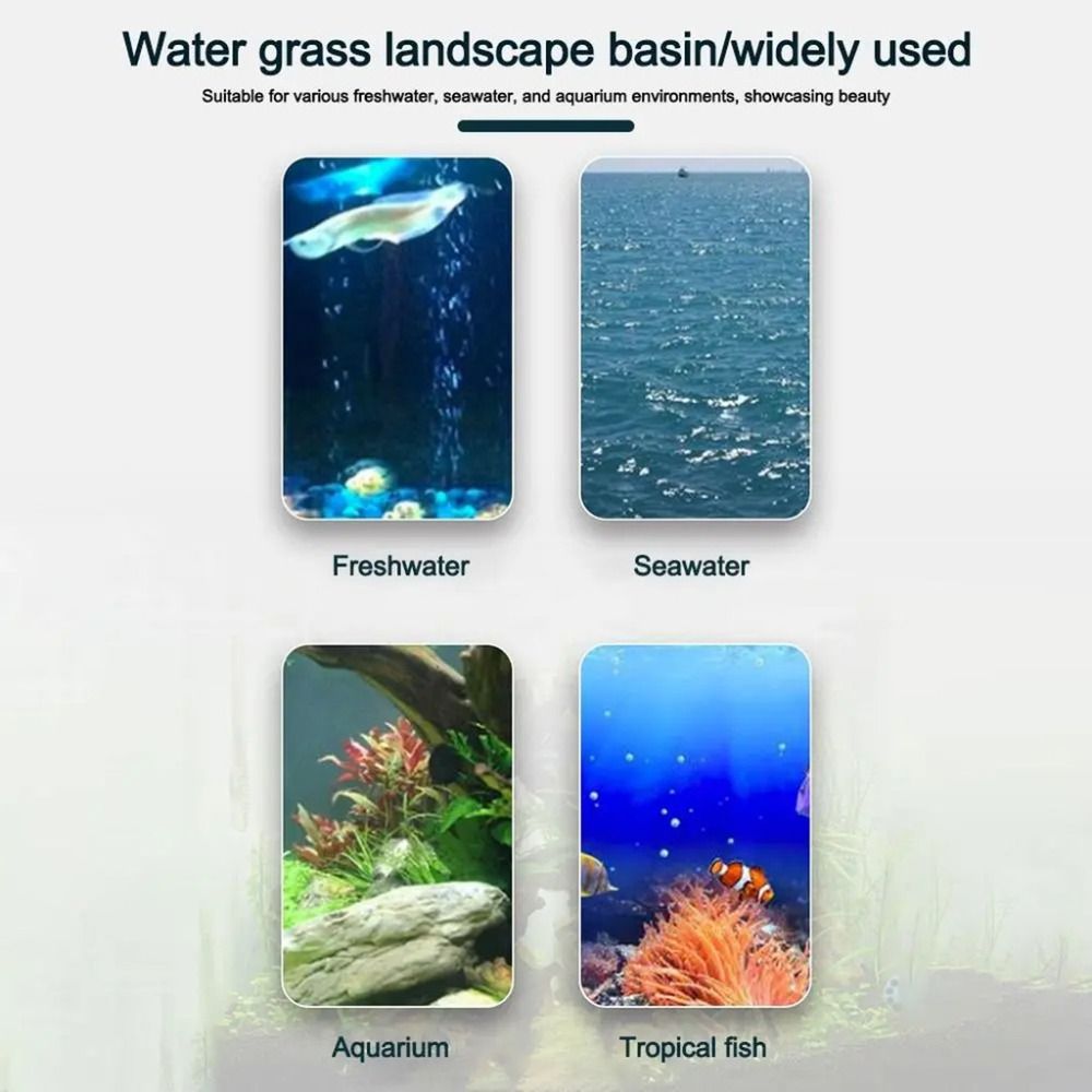 10Pcs 투명 식물 수경 재배 냄비 플라스틱 흡입 베 - Aquarium Plants Live 리뷰 및 가격