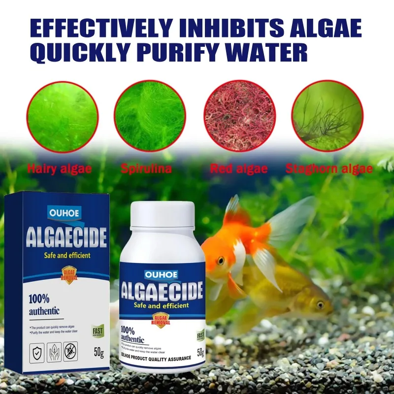 50g 고효율 수족관 연못 조류 및 이끼 제거제, 녹조 - Planted Aquarium Algae Control 리뷰 및 가격