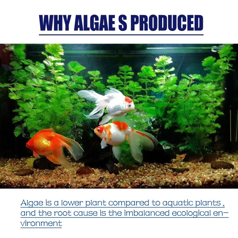 50g 고효율 수족관 연못 조류 및 이끼 제거제, 녹조 - Planted Aquarium Algae Control 리뷰 및 가격