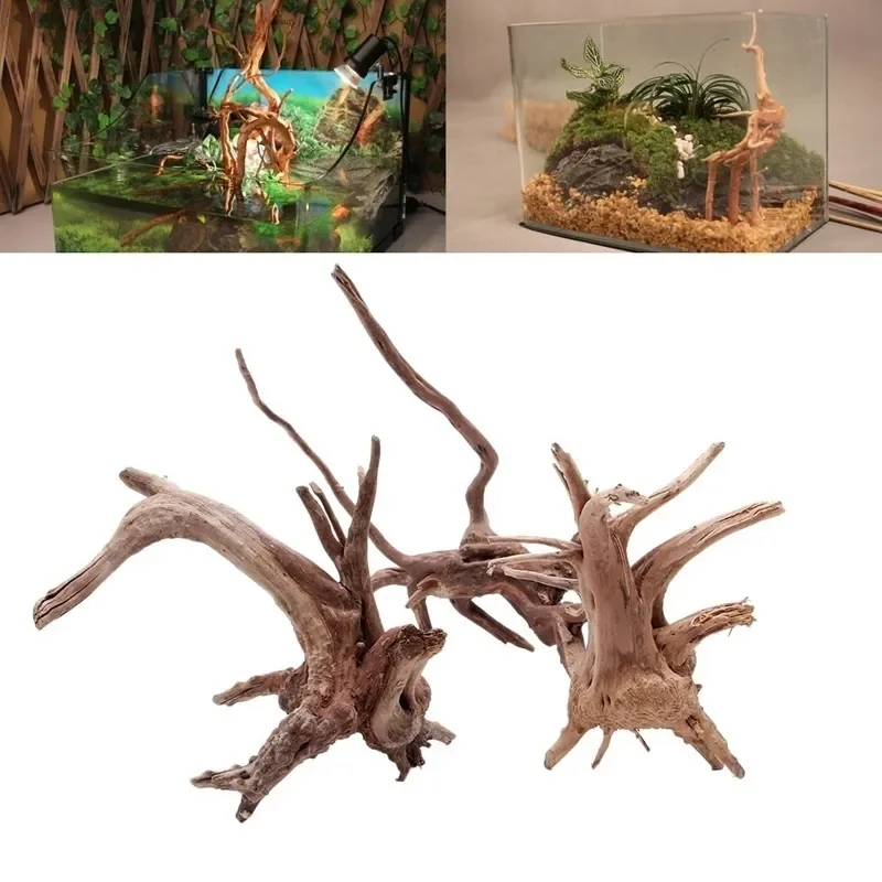천연 나무 줄기 유목 수족관 어항, 파충류 실린더 뿌리 - Live Plant Aquarium 리뷰 및 가격