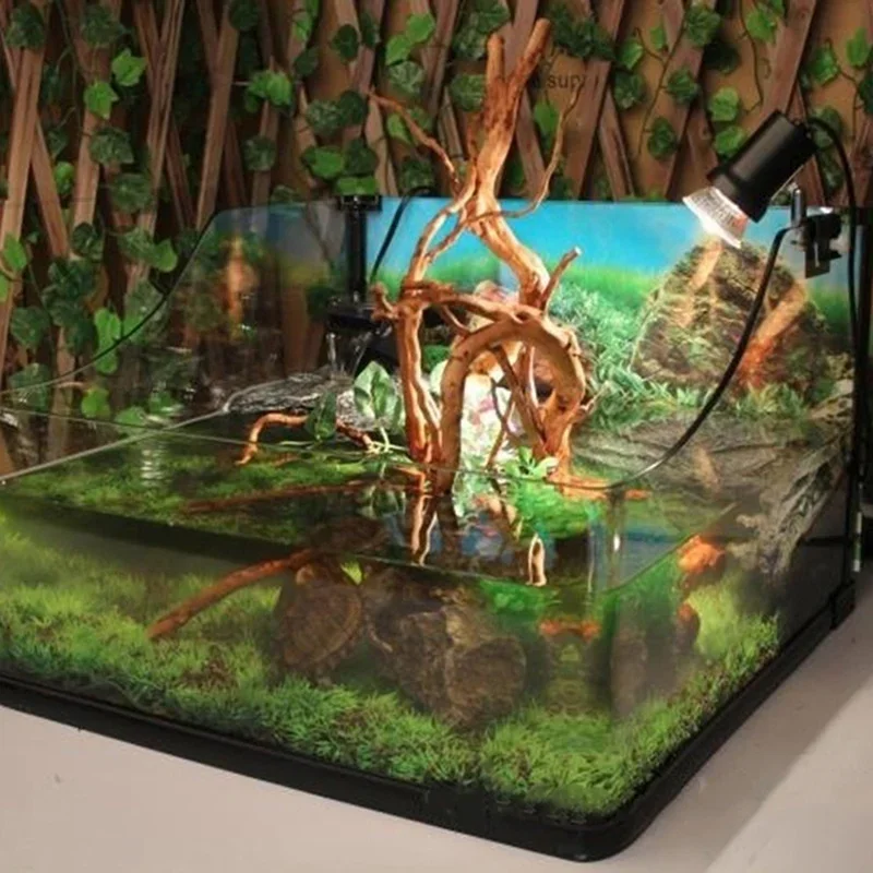 천연 나무 줄기 유목 수족관 어항, 파충류 실린더 뿌리 - Live Plant Aquarium 리뷰 및 가격