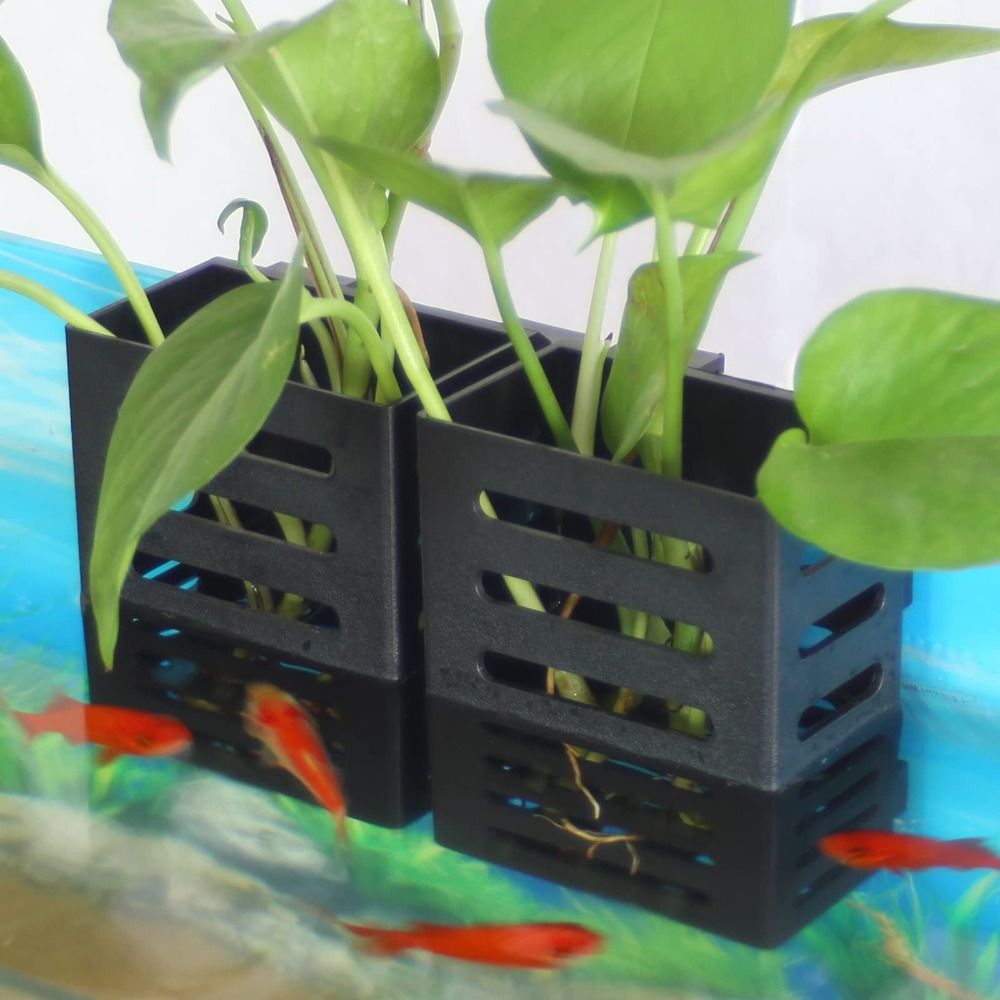 수생 식물 재배에 적합한 부유 식물용 후크와 흡입 컵이 - Aquarium Plant Holder 리뷰 및 가격