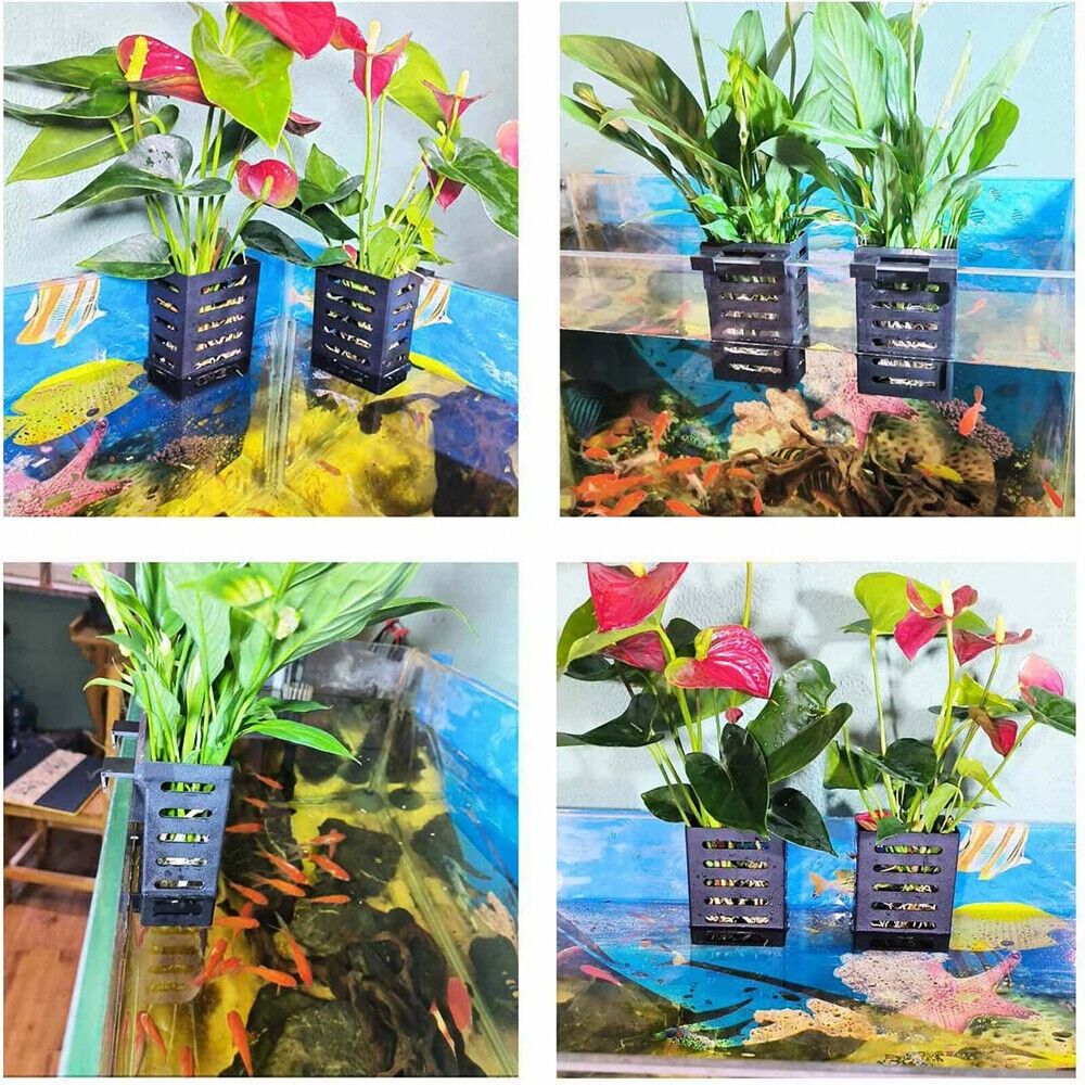 수생 식물 재배에 적합한 부유 식물용 후크와 흡입 컵이 - Aquarium Plant Holder 리뷰 및 가격