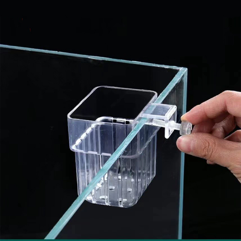 수족관 식물 홀더 투명한 걸이형 화분, 어항 수생 식물 - Aquarium Plants Live 리뷰 및 가격
