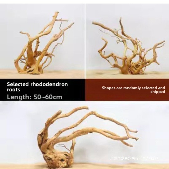 수족관 어항 장식용 자연 유목 가지, 수생 식물 뿌리  - Aquarium Driftwood 리뷰 및 가격