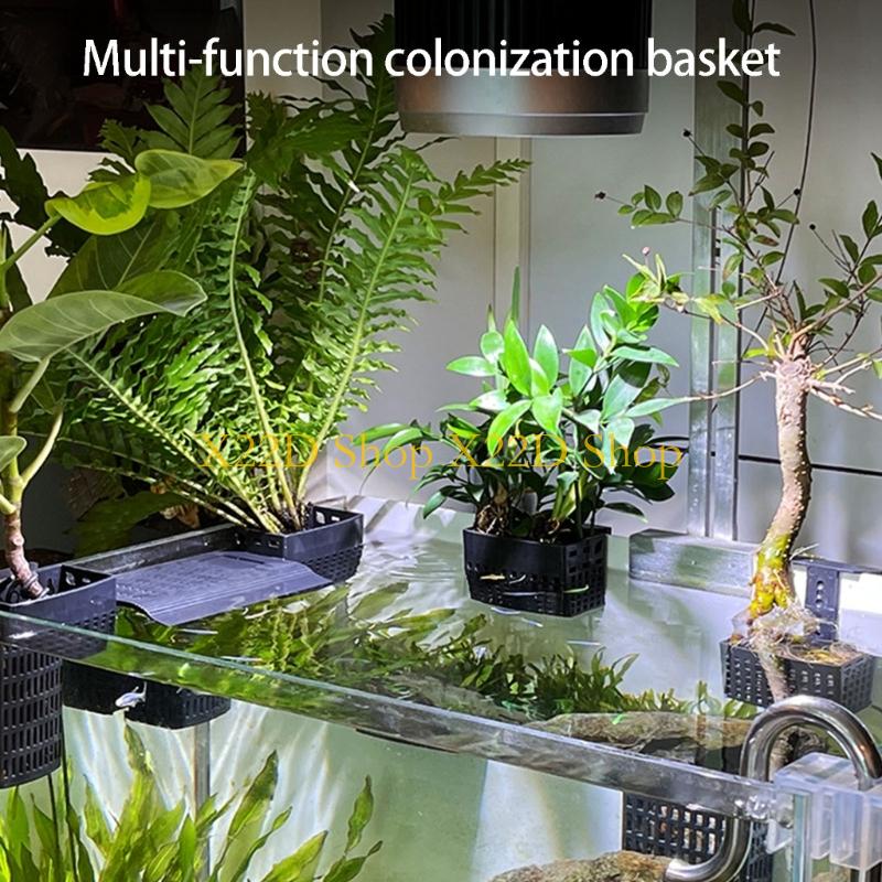 X22D 현대 고대 스타일 수직 식물 홀더 플라스틱 벽 - Aquarium Plant Holder 리뷰 및 가격