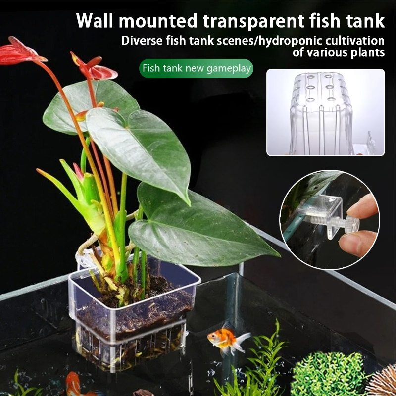 수족관 걸이형 화분 컵 벽걸이 수생 식물 홀더 수족관  - Aquarium Plants Live 리뷰 및 가격