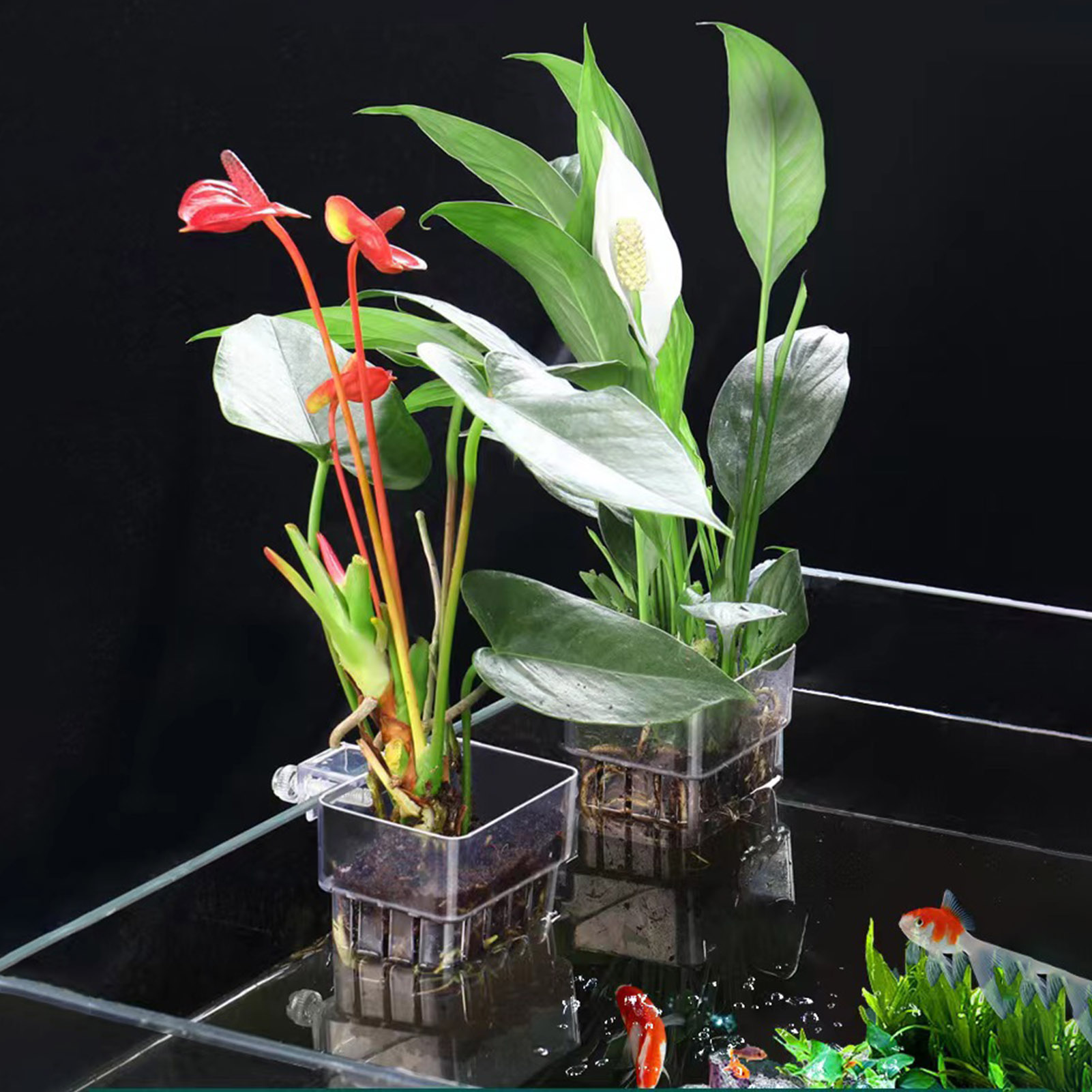 투명 아크릴 재질의 수경 재배용 화분, 어항용 수초 화 - Aquarium Plant Holder 리뷰 및 가격