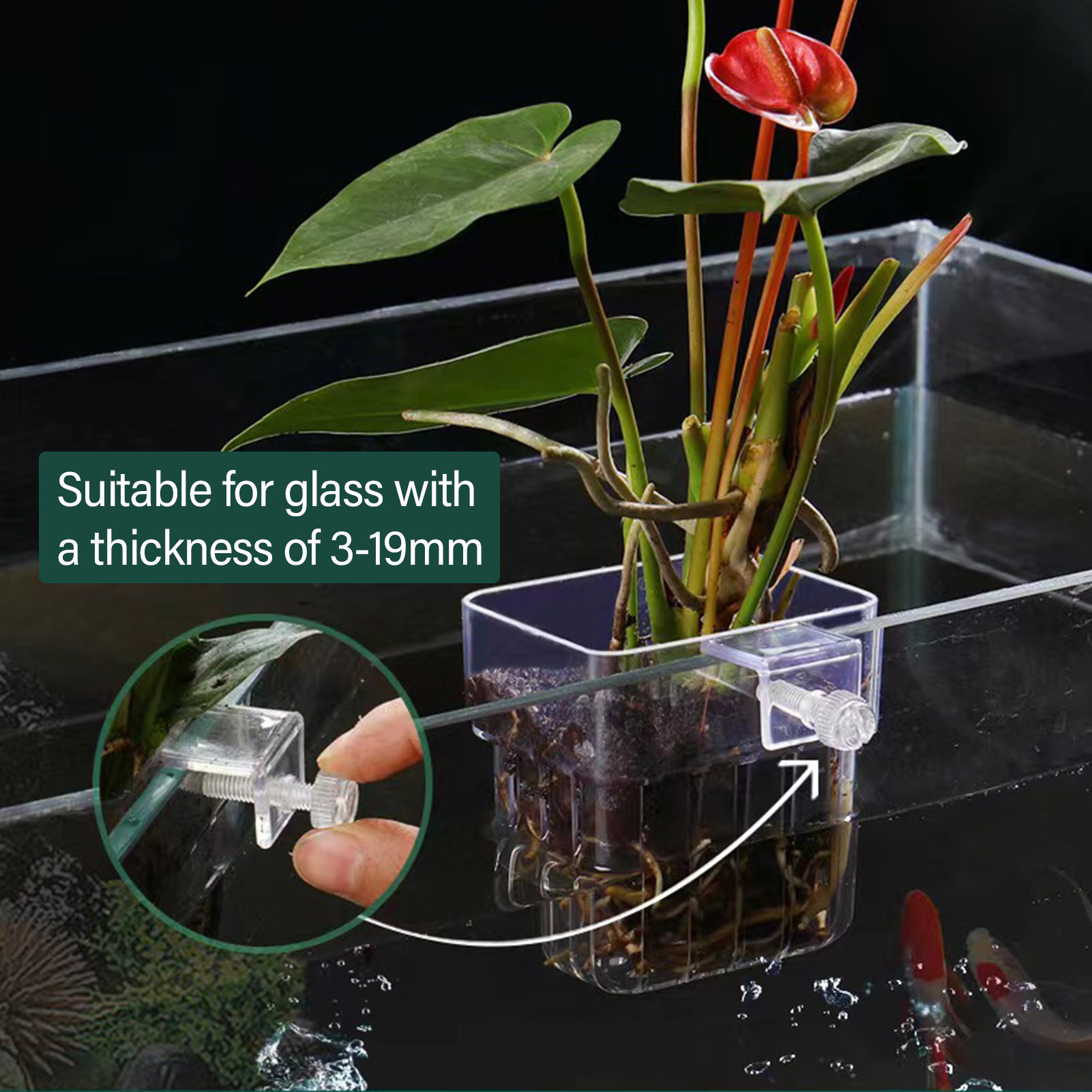 투명 아크릴 재질의 수경 재배용 화분, 어항용 수초 화 - Aquarium Plant Holder 리뷰 및 가격