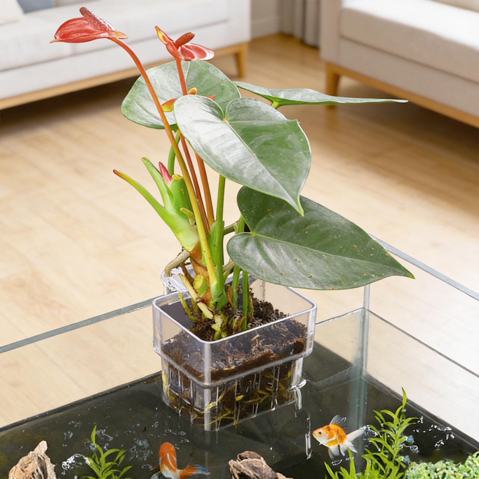 수족관 식물 바구니 투명 어항 걸이 장식 화분 수생 식 - Plant Aquarium Pot 리뷰 및 가격