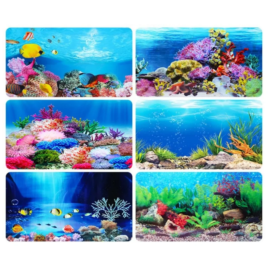 배경 수족관 3D 스티커 포스터 장식, 어항 해양 식물 - Aquarium Plants Live 리뷰 및 가격