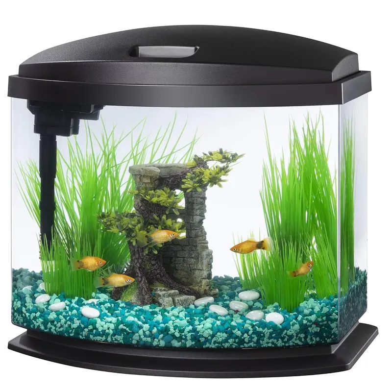 맞춤형 유리 아크릴 수족관 수경재배 식물용 투명 베타  - Aquarium Planted Tank Filter 리뷰 및 가격