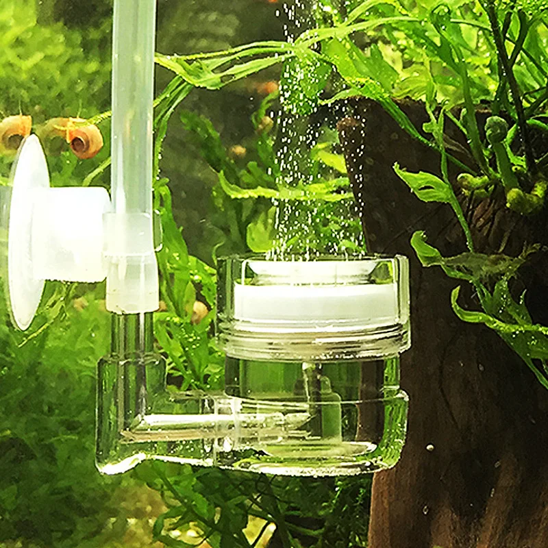 수족관 4 in 1 CO2 디퓨저 유리 탱크 버블 리액 - Live Plant Aquarium 리뷰 및 가격
