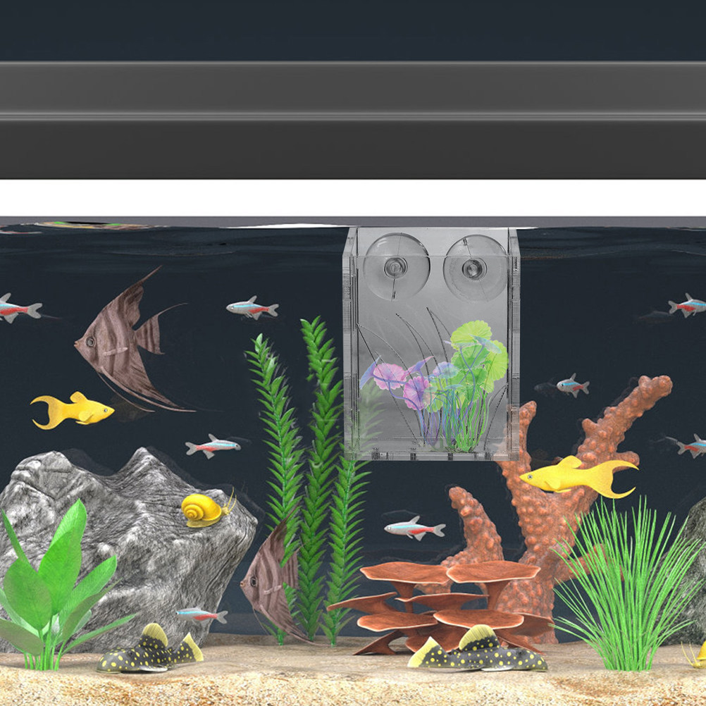 3개 세트, 투명한 수조 식물 홀더, 흡착식 디자인,  - Plant Aquarium Pot 리뷰 및 가격