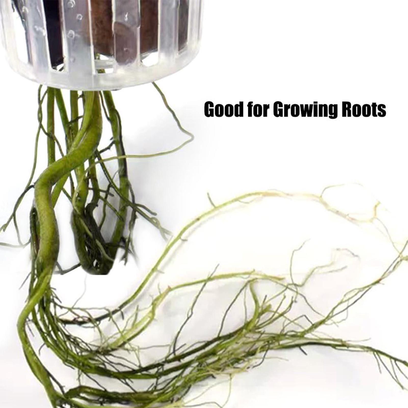 구멍이 있는 걸이형 수생 식물 홀더 2개 세트, 수족관 - Aquarium Plant Holder 리뷰 및 가격