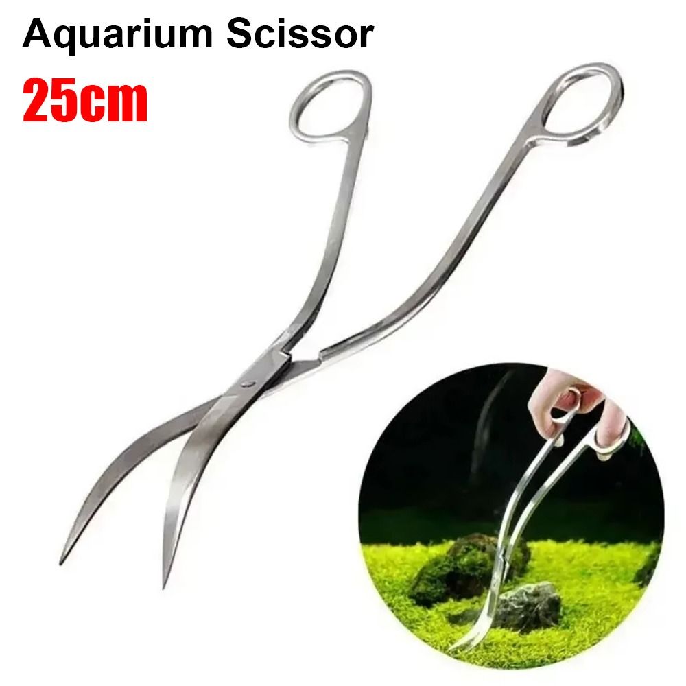 1개 스테인레스 스틸 수족관 가위 직선형 곡선형 25c - Planted Aquarium Cleaning 리뷰 및 가격