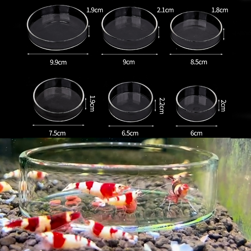 새우 먹이 접시 높은 투명 유리 먹이 접시 물고기 탱크 - Aquarium Fertilizer 리뷰 및 가격