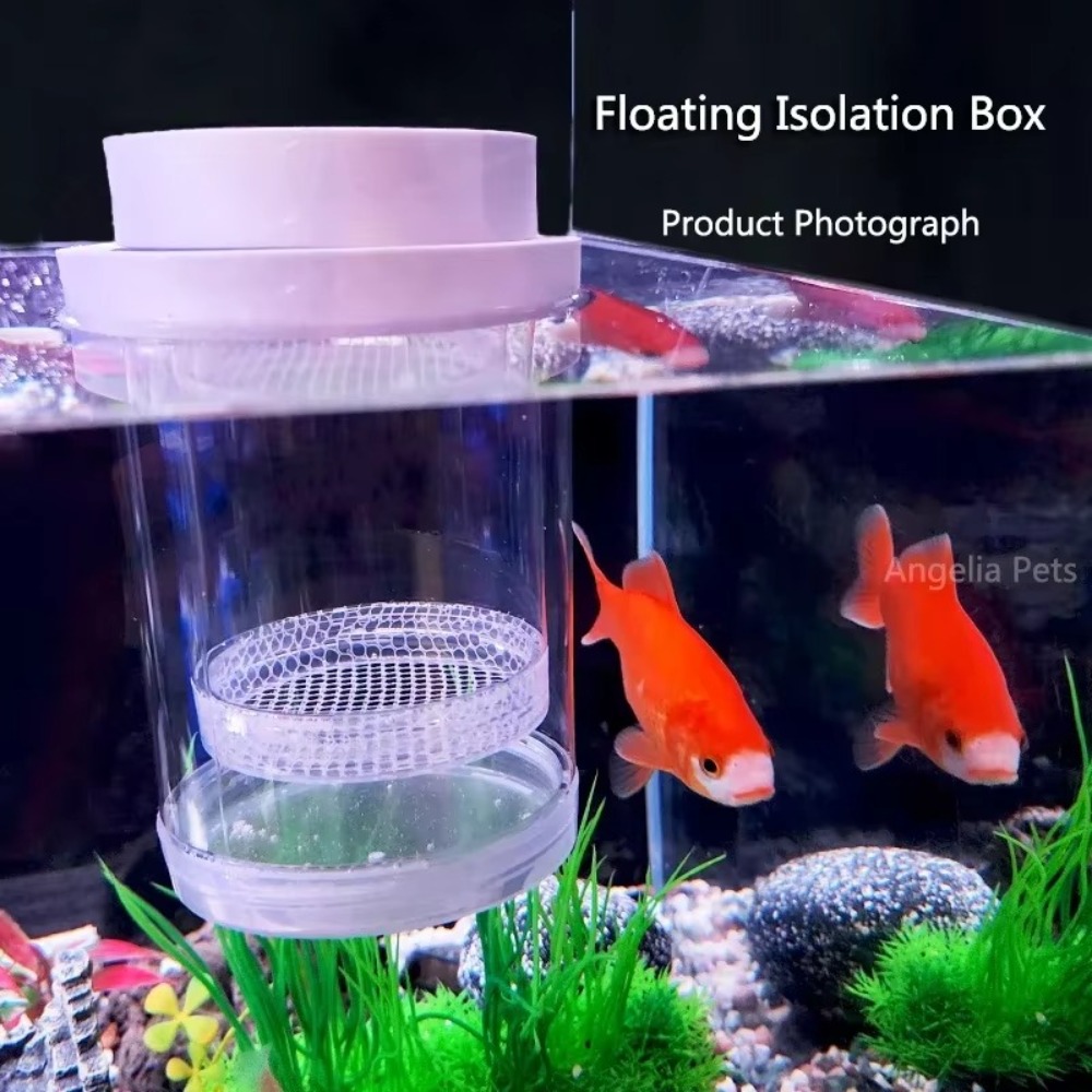 플라스틱 부동 물고기 사육 격리 상자 수족관 브리더 피 - Aquarium Fertilizer 리뷰 및 가격