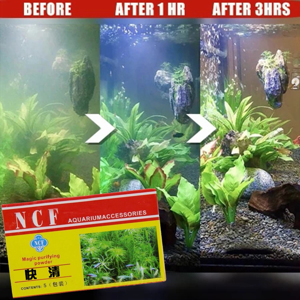 수족관 정수 분말 냄새 제거 조류 제거 이끼 제거 민물 - Aquarium Moss 리뷰 및 가격