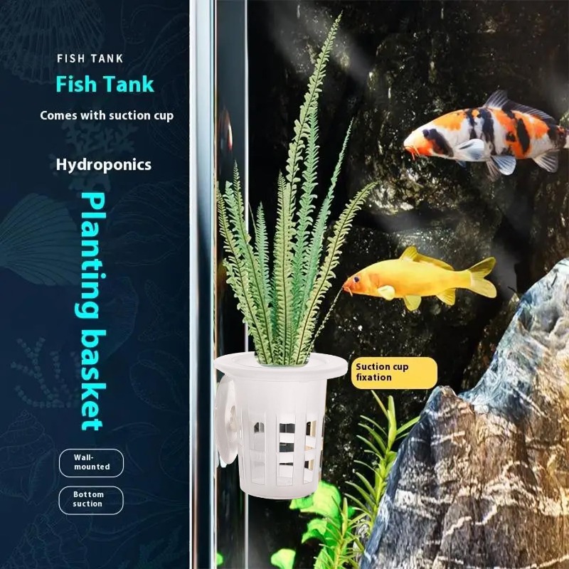 10/20/30Pcs 플라스틱 수족관 심기 컵, 흡착판 - Aquarium Plants Live 리뷰 및 가격