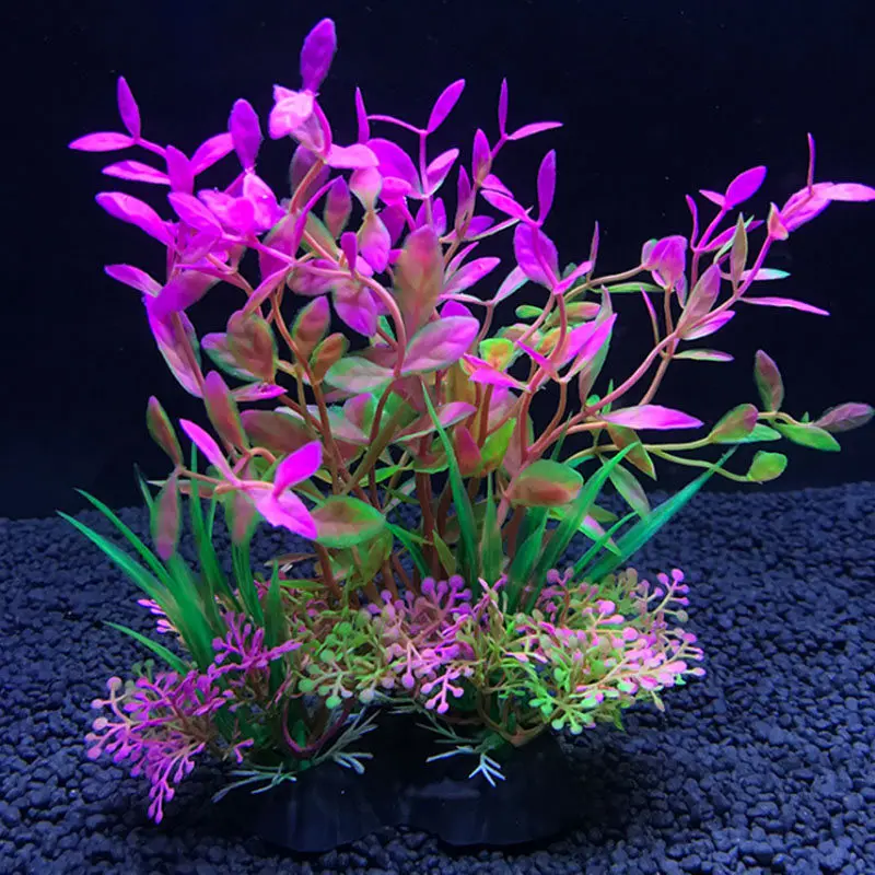 수족관 인공 장식 식물 시뮬레이션 물 잡초 장식 물고기 - Live Plant Aquarium 리뷰 및 가격
