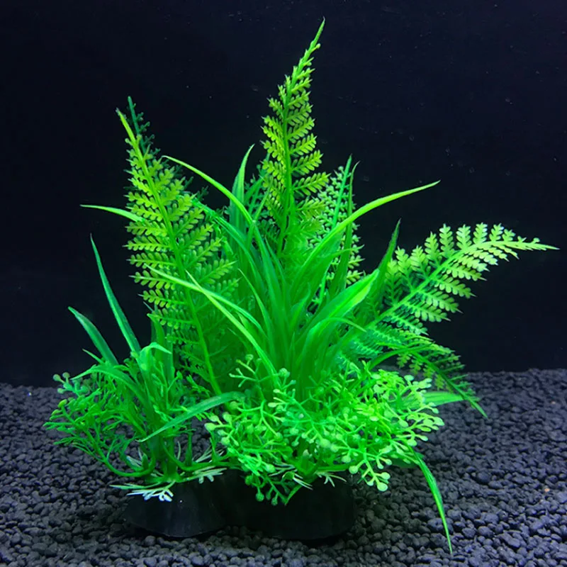 수족관 인공 장식 식물 시뮬레이션 물 잡초 장식 물고기 - Live Plant Aquarium 리뷰 및 가격
