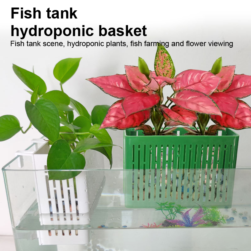 【F】어항용 걸이형 수초 홀더 내열성 수경재배 바구니  - Aquarium Plant Substrate 리뷰 및 가격