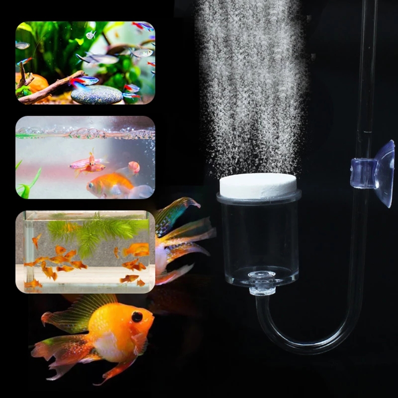 수족관 유리 탱크용 DIY CO2 디퓨저, 버블 반응기 - Live Plant Aquarium 리뷰 및 가격